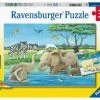 Ravensburger Puslespill Baby Safaridyr 2x12 Biter