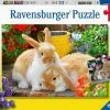 Ravensburger Puslespill Marsvin Og Kaniner 2x12 Brikker