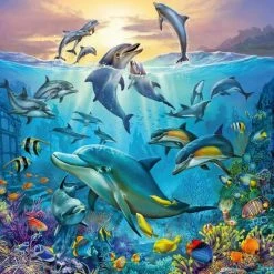 Ravensburger Puslespill Havsliv 3x49 Biter 9 Ravensburger Puslespill Havsliv 3x49 Biter -jollyroom Salg 10105149 2158 4c