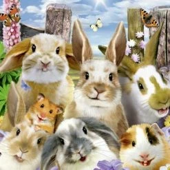 Ravensburger Puslespill Kanin Selfie 100 Biter 5 Ravensburger Puslespill Kanin Selfie 100 Biter -jollyroom Salg 10110949 2158 2