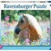 Ravensburger Puslespill Bildeblomst Ponny 300 Biter -jollyroom Salg 10113294 2158 1