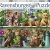 Ravensburger Puslespill Katt På Hylla 500 Brikker -jollyroom Salg 10214824 2158 1