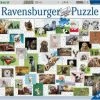 Ravensburger Puslespill Collage Med Morsomme Dyr 1500 Brikker