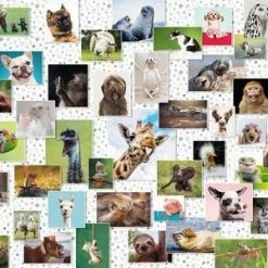 Ravensburger Puslespill Collage Med Morsomme Dyr 1500 Brikker -jollyroom Salg 10216711 2158 2