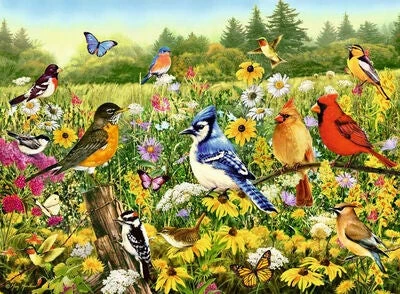 Ravensburger Puslespill Birds In The Meadow 500 Brikker 4 Ravensburger Puslespill Birds In The Meadow 500 Brikker - Bilde 2