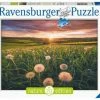 Ravensburger Puslespill Dandelions In Sunset 500 Brikker -jollyroom Salg 10216990 2158 1