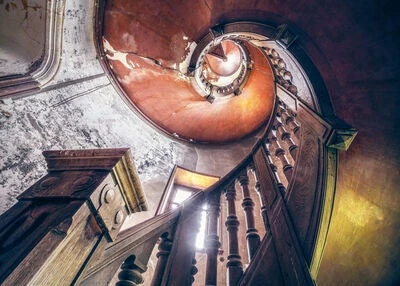 Ravensburger Puslespill Oak Spiral 1000 Brikker 4 Ravensburger Puslespill Oak Spiral 1000 Brikker - Bilde 2