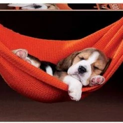 Educa Puslespill Sleeping In A Hammock 500 Brikker