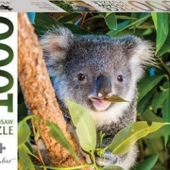 Mindbogglers Puslespill Koala Australia 1000 Brikker