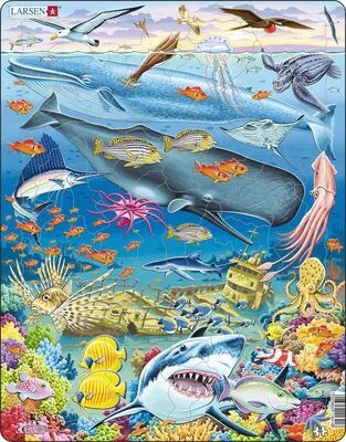 Larsen Marint Liv I Stillehavet Rammepuslespill 66 Brikker 4 Larsen Marint Liv I Stillehavet Rammepuslespill 66 Brikker - Bilde 2