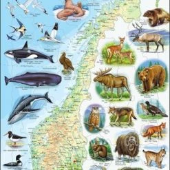 Larsen Norske Dyr Rammepuslespill 62 Brikker 5 Larsen Norske Dyr Rammepuslespill 62 Brikker -jollyroom Salg K68 NO 3866 2